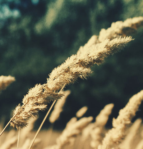 短信轰炸网页版