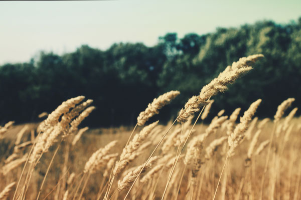 24小时不停呼叫软件